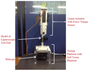 A Technique for Mimicking Soft Tissue Manipulation from Experimental Data to a Wave Equation Model for a New Laparoscopic Virtual Reality Training System