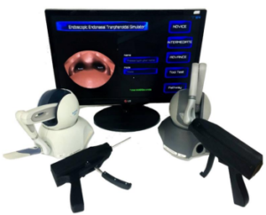 The Development of a Virtual Simulator for a Novel Design Surgical Tool in Endoscopic Endonasal Transsphenoidal Surgery