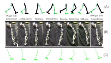 Energy Storage and Reversible Mechanisms for Lower Limb Exoskeleton
