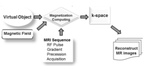μ-MRI Simulation Tool Development: An MRI Simulation Tool Software Based on Bloch’s Equation for Studying the Magnetic Computing and Pulse Sequencing Research in Magnetic Resonance Imaging