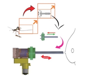 Hybrid Image-Based Motion Tracking and Adaptive Polynomial Kalman Filter for a Bio-Inspired Dual-Sheath Needle System